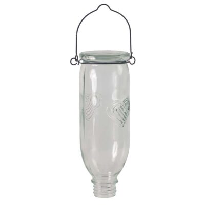 Nectar Feeder Bottle - Replacement Part